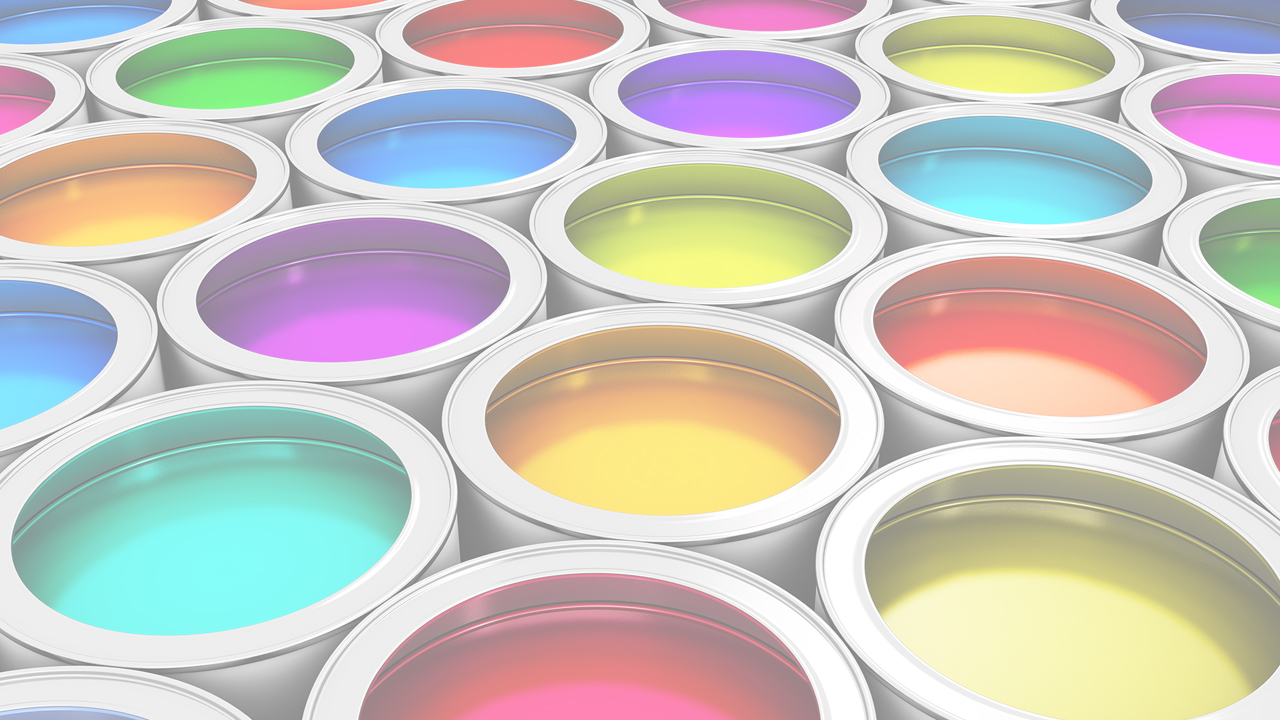 THE PAINT<br>EXPERTS